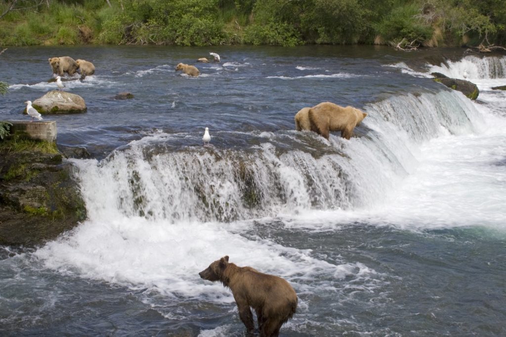 Katmai National Park