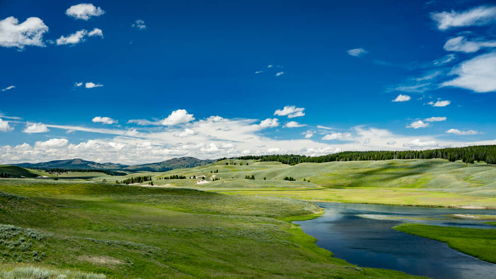 Visiting Hayden Valley in Yellowstone National Park Parkcation