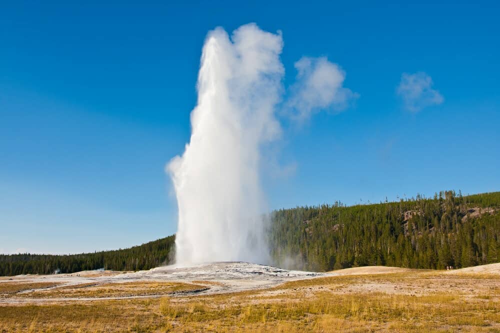 old faithful old faithful