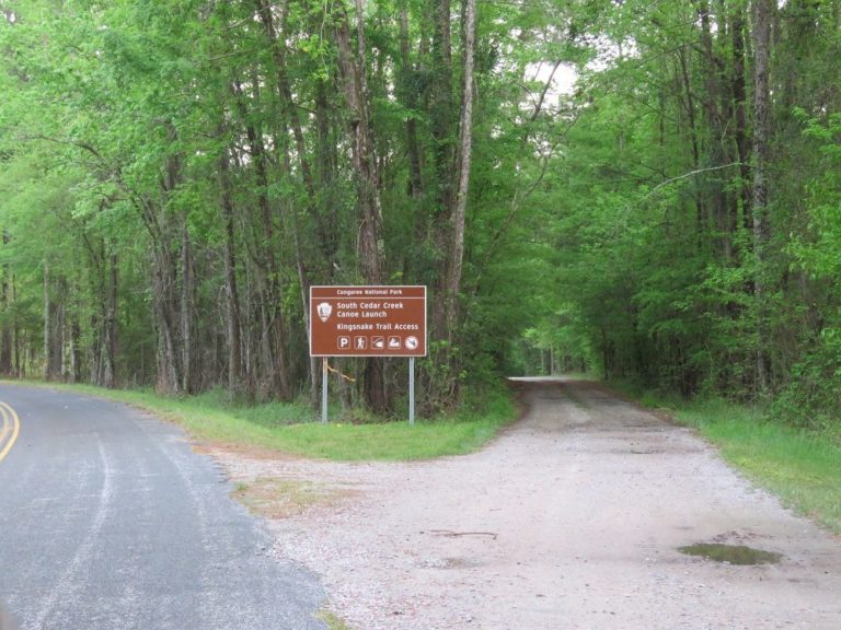 South Cedar Creek Canoe Launch at Congaree National Park Parkcation