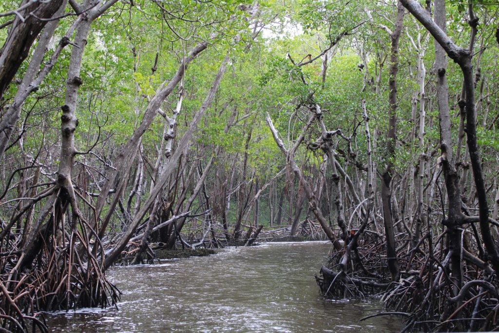 Everglades National Park