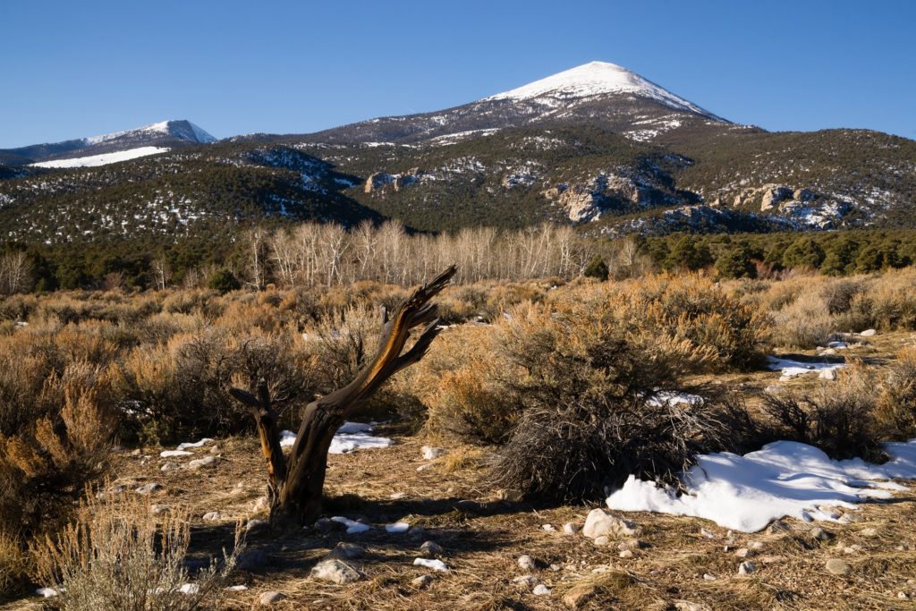 Great Basin National Park