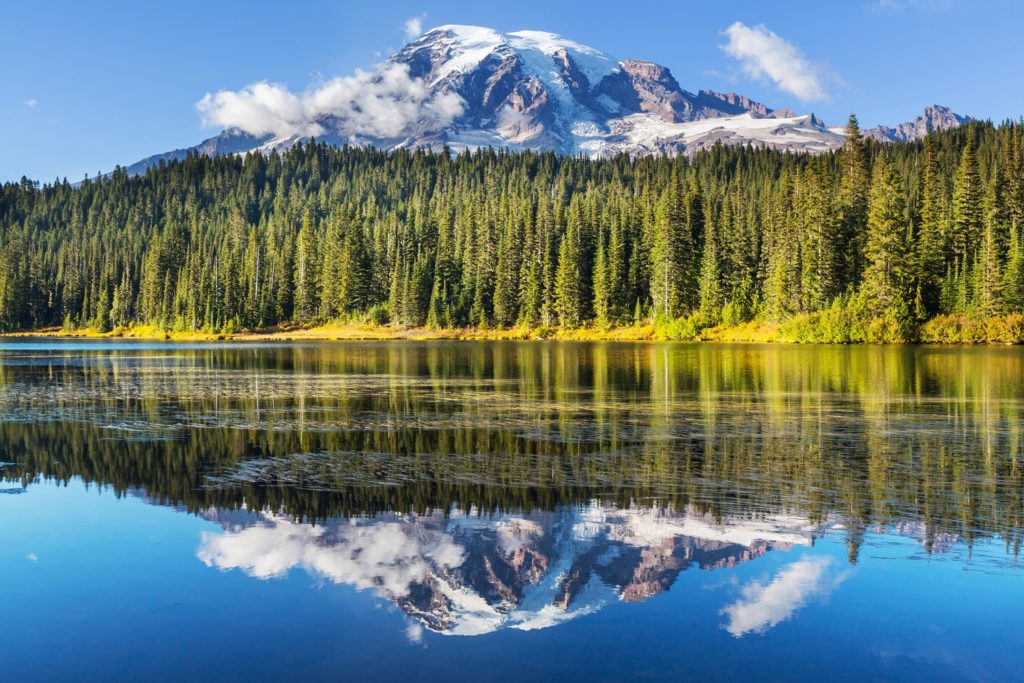 Mount Rainier National Park