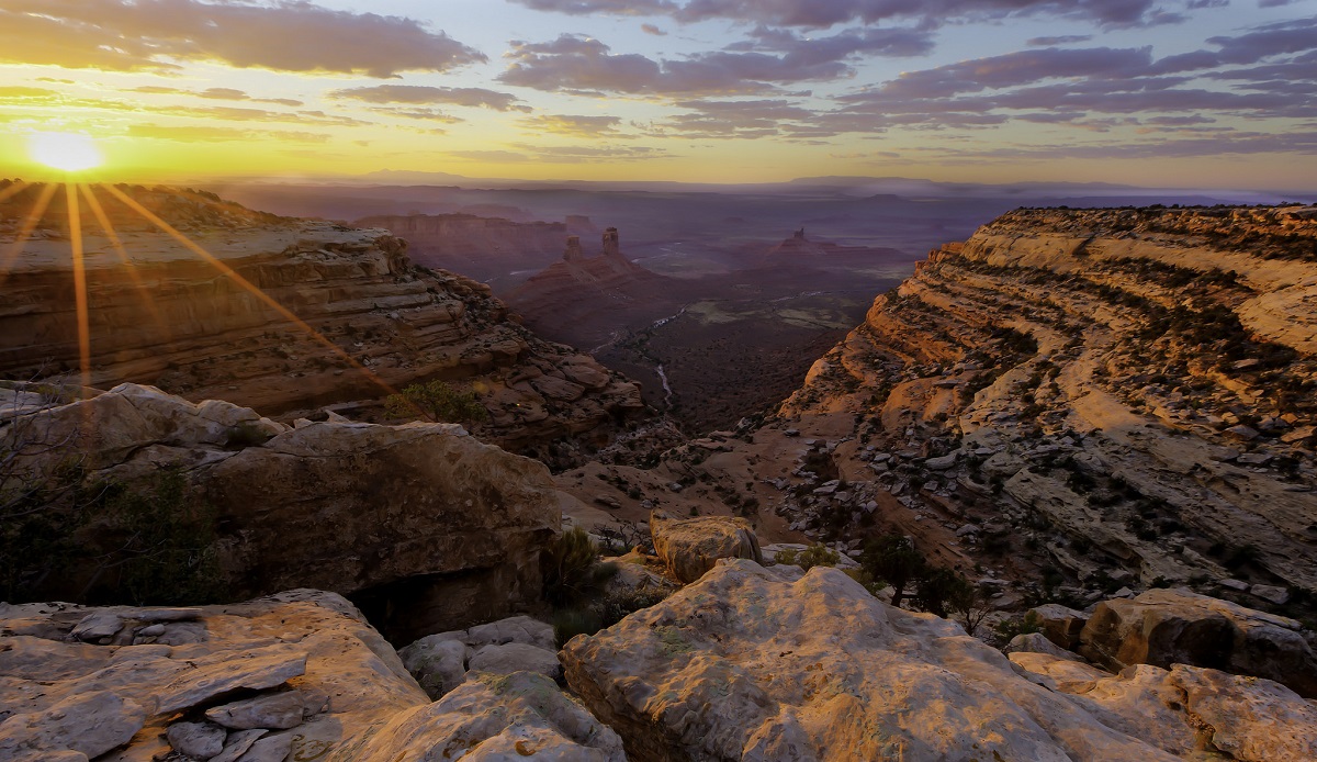 valleyofthegodsbearsears