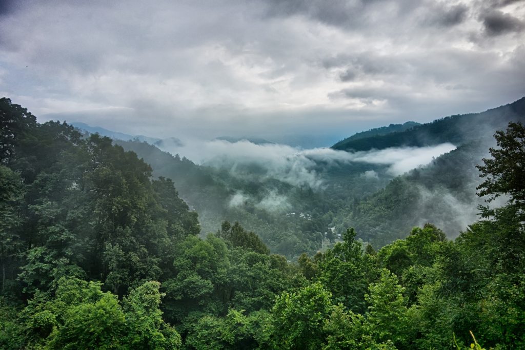 Great Smoky Mountains National Park