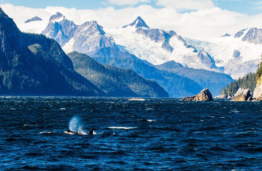 Kenai Fjords National Park