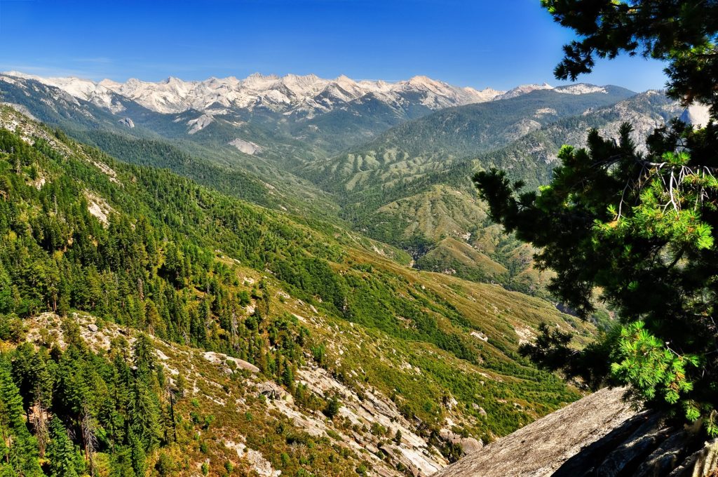 Kings Canyon National Park