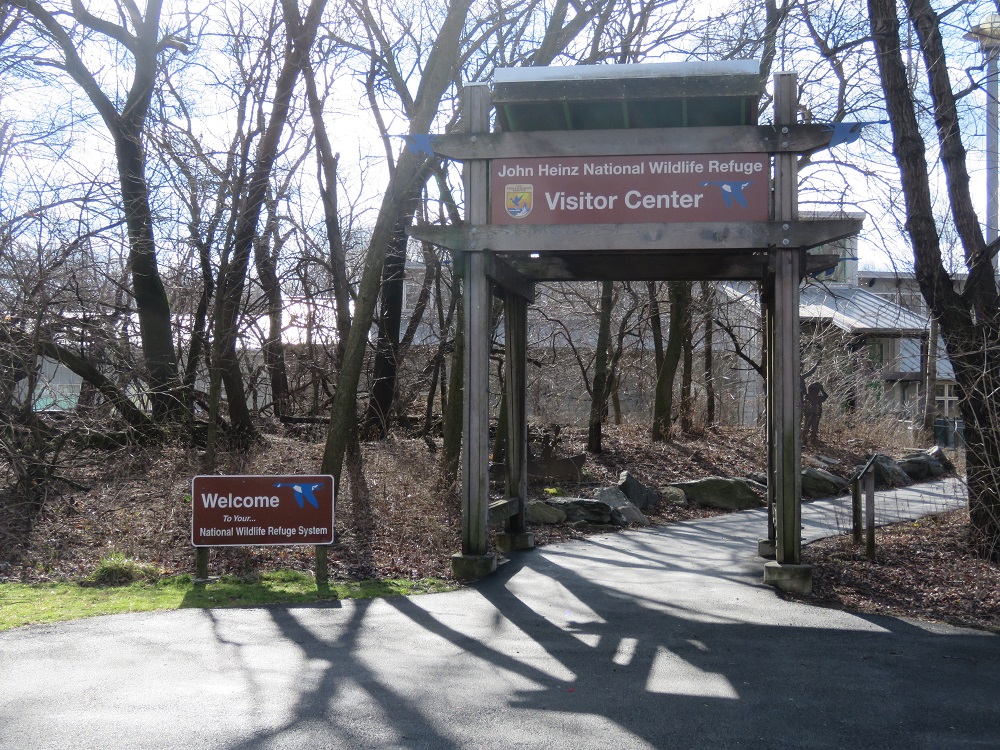 January Birding at John Heinz National Wildlife Refuge