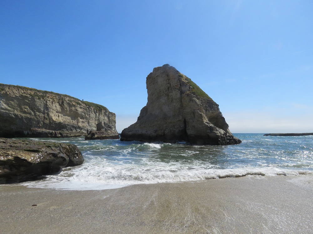 sharkfincove